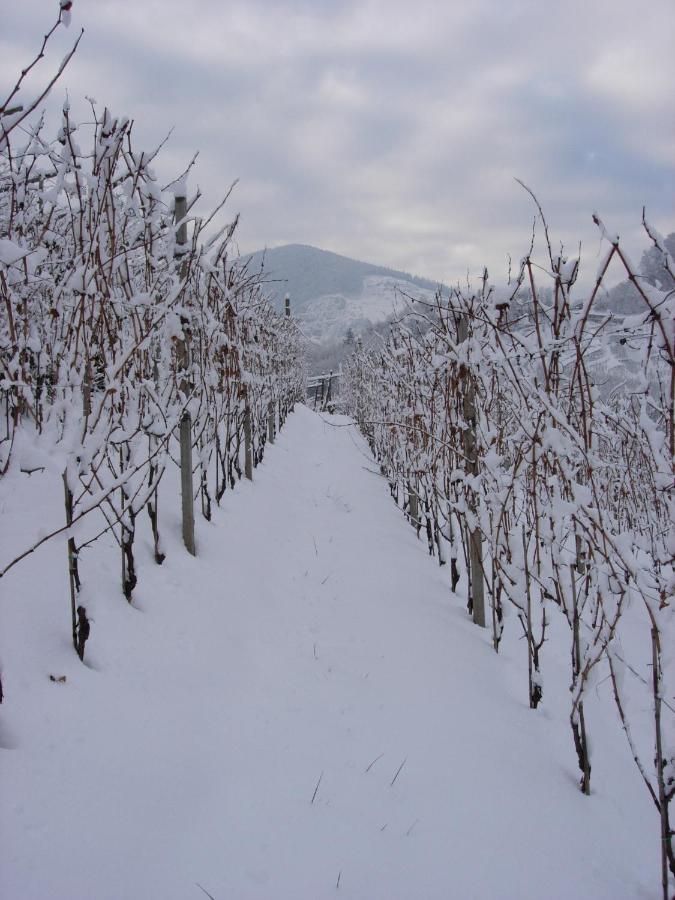 B&B San Valentino Giovo Екстер'єр фото